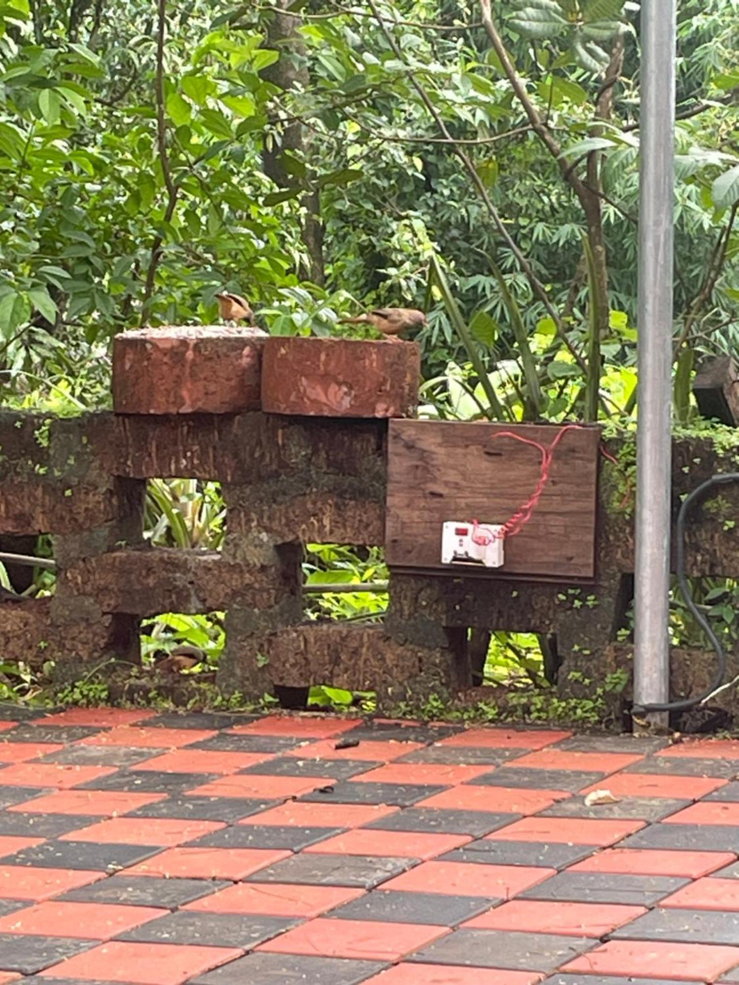 Homestay Mtdc Vishwas Homestay, Kotawde, *